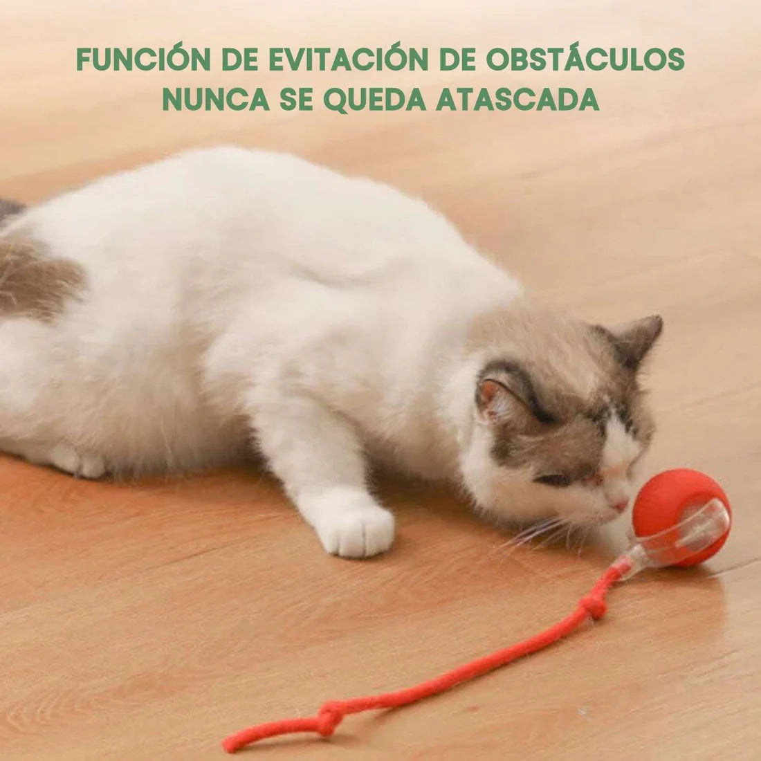 TailyBall V2 – O Juguete Perfeito de Verão para Gatos e Perros