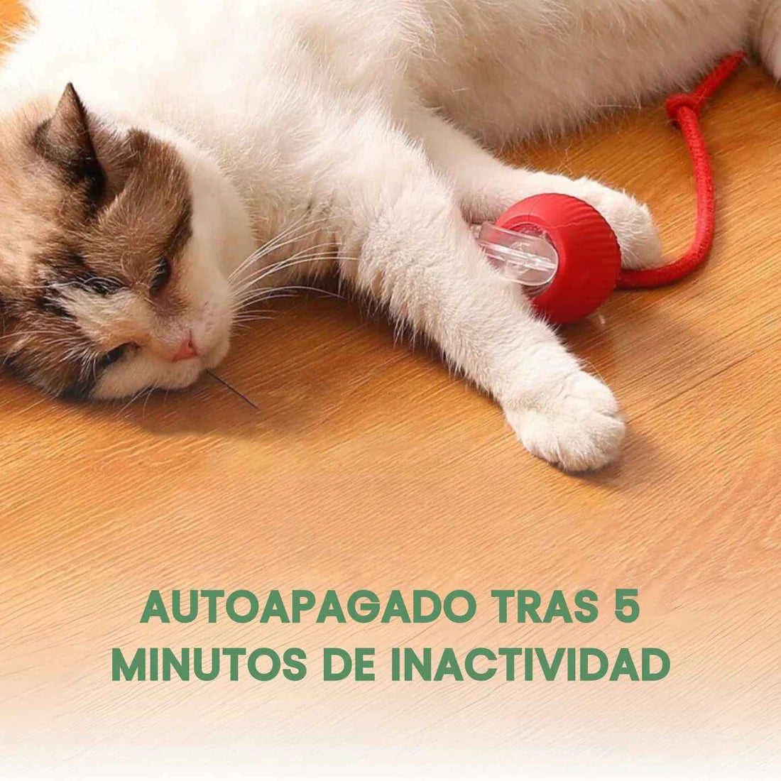 TailyBall V2 – O Juguete Perfeito de Verão para Gatos e Perros