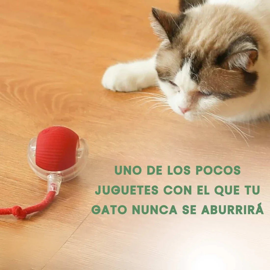 TailyBall V2 – O Juguete Perfeito de Verão para Gatos e Perros