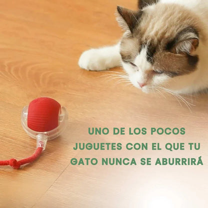 TailyBall V2 – O Juguete Perfeito de Verão para Gatos e Perros